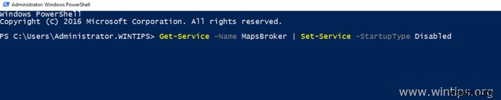 [해결] Windows Server 2016 다운로드된 지도 관리자(Maps Broker) 서비스 오류 수정 방법