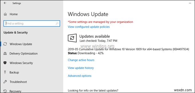 Windows 10 1903 업데이트 설치 실패 오류 해결 방법 (완벽 가이드)