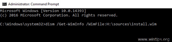 Windows Server 2016에서 Windows Defender 기능 설치 실패(0x800f081f) 오류 해결 방법