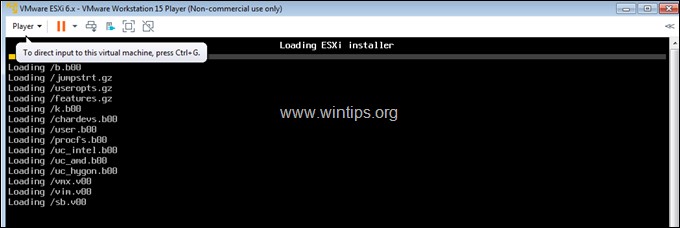 VMware Workstation 15에 vSphere ESXi 6.7 설치하는 방법 (단계별 완벽 가이드)
