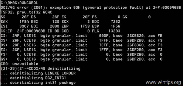 Windows 10에서 DOS/4G 오류(2001) 예외 0Dh 완벽 해결 가이드