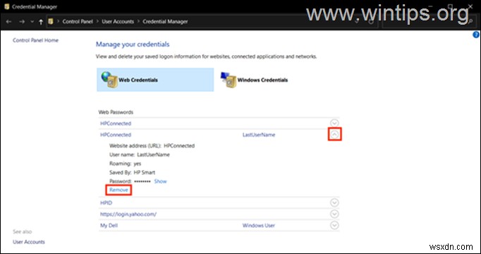 Windows 10/11에서 웹 자격 증명 및 Windows 자격 증명 확인·삭제하는 완벽 가이드