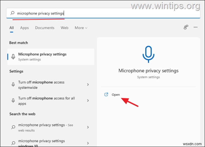 Windows 11/10에서 스테레오 믹스가 녹음 장치에 보이지 않을 때 활성화하는 완벽 가이드