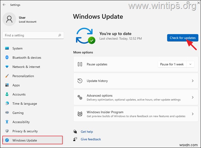 Windows 11 검색 기능 오류 해결 방법: 검색이 작동하지 않을 때 8가지 솔루션