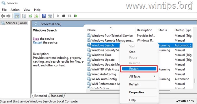 Windows 11 검색 기능 오류 해결 방법: 검색이 작동하지 않을 때 8가지 솔루션