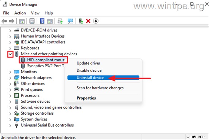 Windows 10/11에서 마우스가 스스로 아래로 스크롤되는 문제 해결 방법