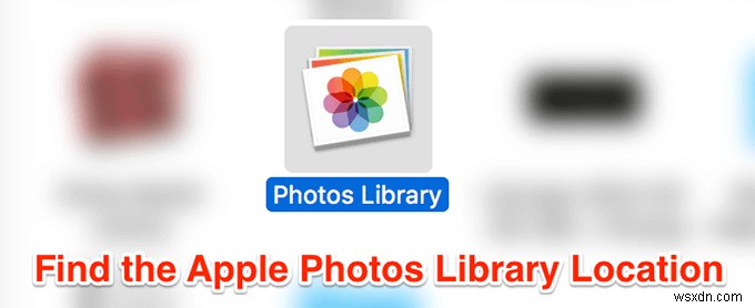 맥에서 Apple 사진은 어디에 저장될까? 보관함 위치부터 백업·이동·생성까지 총정리