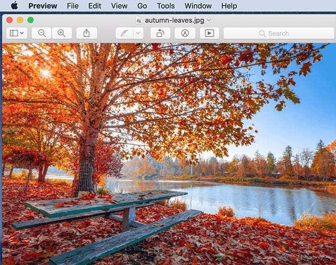 2020년 맥(Mac) 사용자를 위한 필수 앱 BEST 총정리
