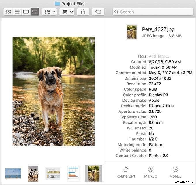 Mac을 macOS Mojave로 업그레이드해야 할까? 장단점 완벽 정리