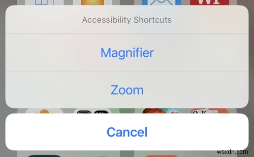 아이폰·아이패드 돋보기(Magnifier) 기능 완벽 활용법