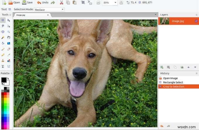 맥 사용자를 위한 Microsoft 그림판 대체 앱 12선
