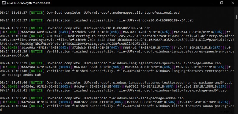 새로운 Windows 11 빌드, ISO 파일로 손쉽게 설치하는 방법