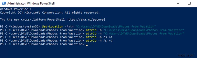 Windows 10·11 검색 결과에서 폴더와 파일을 숨기는 방법 총정리