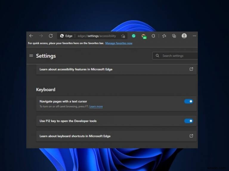 Microsoft Edge 접근성 기능 완벽 활용 가이드: 소리 내어 읽기부터 캐럿 검색까지