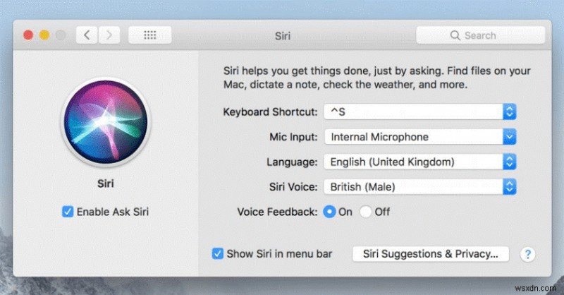 iOS에서 Siri 음성 피드백 변경하기: 아이폰·아이패드·애플워치·맥 완벽 가이드