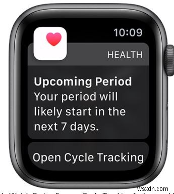 iOS 13·WatchOS 6 애플 주기 추적 기능, 설정부터 활용까지 완벽 가이드