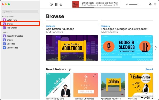 macOS Catalina에서 팟캐스트 앱 완벽하게 활용하는 방법