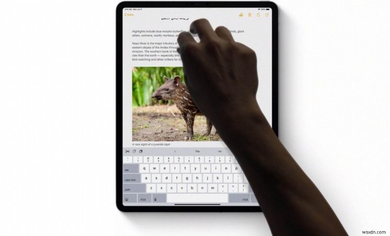 꼭 알아야 할 iPadOS 13의 핵심 신기능 5가지