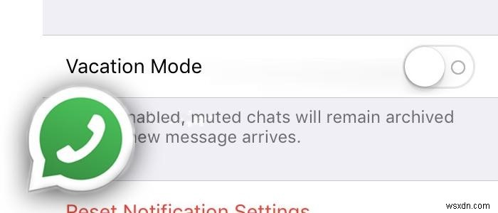 WhatsApp에서 우리 모두가 간절히 기다리는 8가지 필수 기능