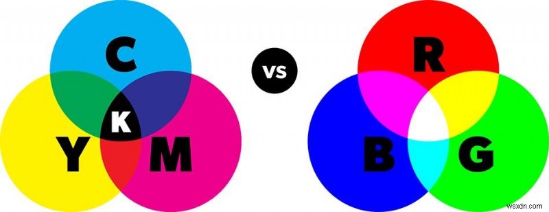 이미지 파일 형식의 미스터리: 확대하면 깨지는 이유와 래스터·벡터의 모든 것