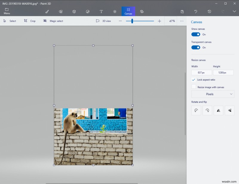 그림판(Paint)과 그림판 3D에서 배경을 투명하게 만드는 방법 완벽 가이드