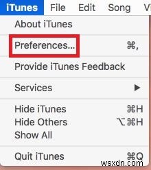 맥 iTunes에서 비디오 팟캐스트 재생하는 방법 (창 고정 설정 포함)