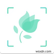 안드로이드·아이폰 추천 식물 식별 앱 베스트 10