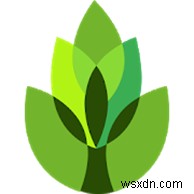 안드로이드·아이폰 추천 식물 식별 앱 베스트 10