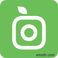 안드로이드·아이폰 추천 식물 식별 앱 베스트 10