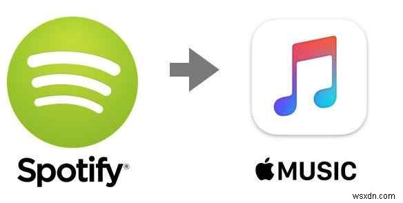 Spotify 재생목록을 Apple Music으로 옮기는 방법 총정리