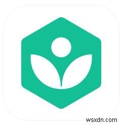 코딩 독학 필수! 초보자를 위한 최고의 iOS 코딩 학습 앱 10선
