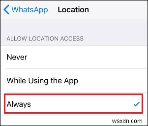 WhatsApp 실시간 위치 공유 방법, 아이폰·안드로이드 단계별 완벽 가이드