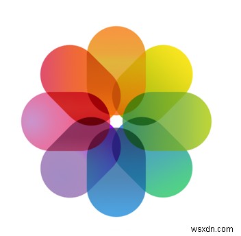 iOS 12.4 업데이트 후 사진·동영상이 사라졌다면? 원인과 복구 방법 완벽 정리