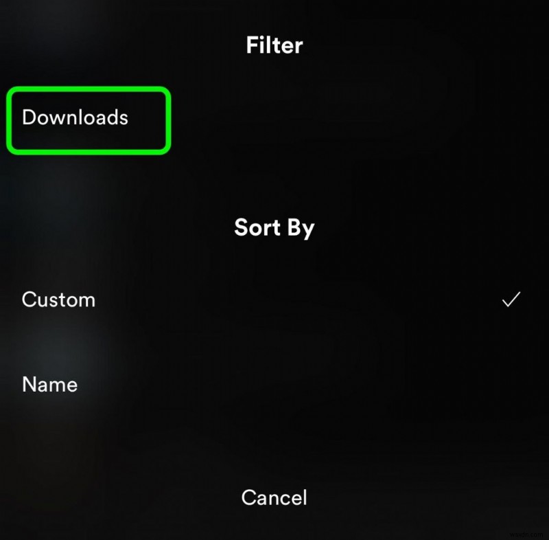 아이폰에서 스포티파이(Spotify) 오프라인으로 사용하는 방법
