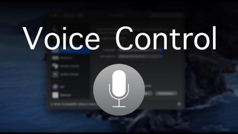 macOS Catalina에서 음성 제어 기능 활용하는 방법 완벽 가이드