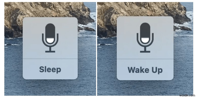 macOS Catalina에서 음성 제어 기능 활용하는 방법 완벽 가이드