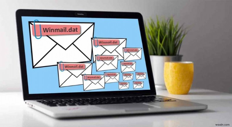 맥에서 Winmail.dat 파일 여는 방법 3가지 완벽 가이드