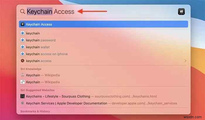 Mac에서 iCloud 키체인 암호 확인하는 방법 총정리