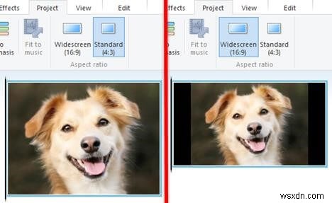 Windows Movie Maker 완벽 활용 가이드: 초보자를 위한 필수 편집 팁과 요령