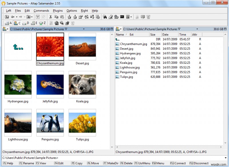 2022년 Windows 10/8/7을 위한 최고의 파일 관리자 소프트웨어 TOP 5