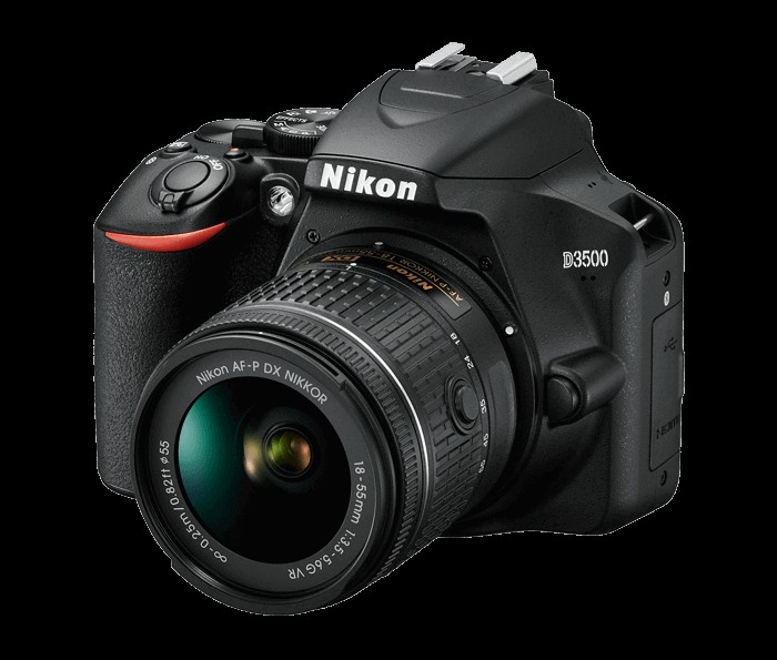 초보자를 위한 최고의 가성비 DSLR 카메라 10대 추천