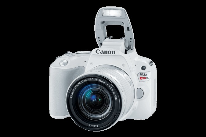 초보자를 위한 최고의 가성비 DSLR 카메라 10대 추천