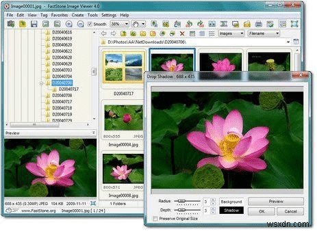2022년 사진 관리를 위한 최고의 Picasa 대안 프로그램 7가지