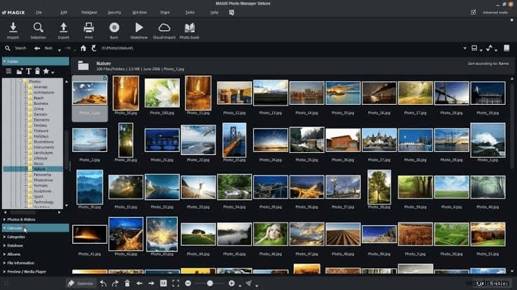 2022년 사진 관리를 위한 최고의 Picasa 대안 프로그램 7가지