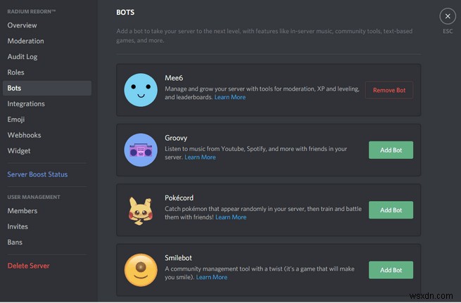 생산성을 높이는 디스코드(Discord) 필수 설정 팁 5가지