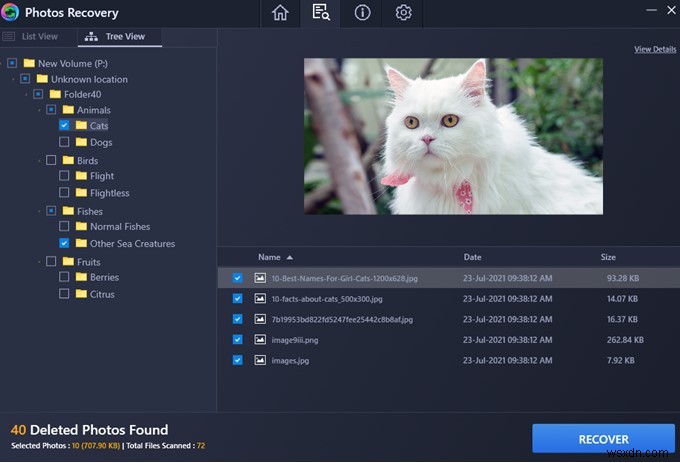 Windows PC에서 삭제된 사진 폴더 복구하는 방법 – 단계별 완벽 가이드