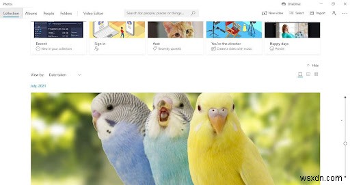 마이크로소프트 기본 앱 사진 으로 중복 사진 제거하는 방법