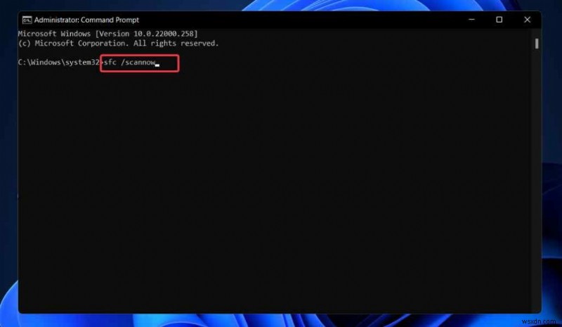 Windows 11에서 화면 캡처가 안 될 때? Print Screen 오류 해결 방법 총정리