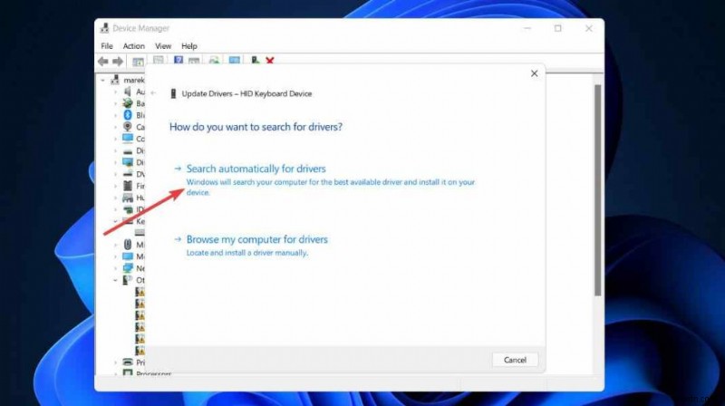 Windows 11에서 화면 캡처가 안 될 때? Print Screen 오류 해결 방법 총정리