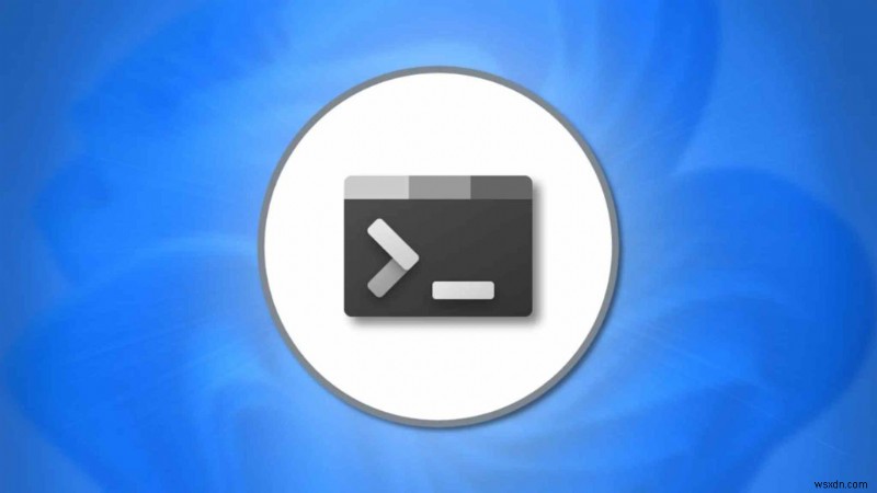 Windows 11/10에서 명령 프롬프트가 작동하지 않을 때 해결하는 5가지 방법